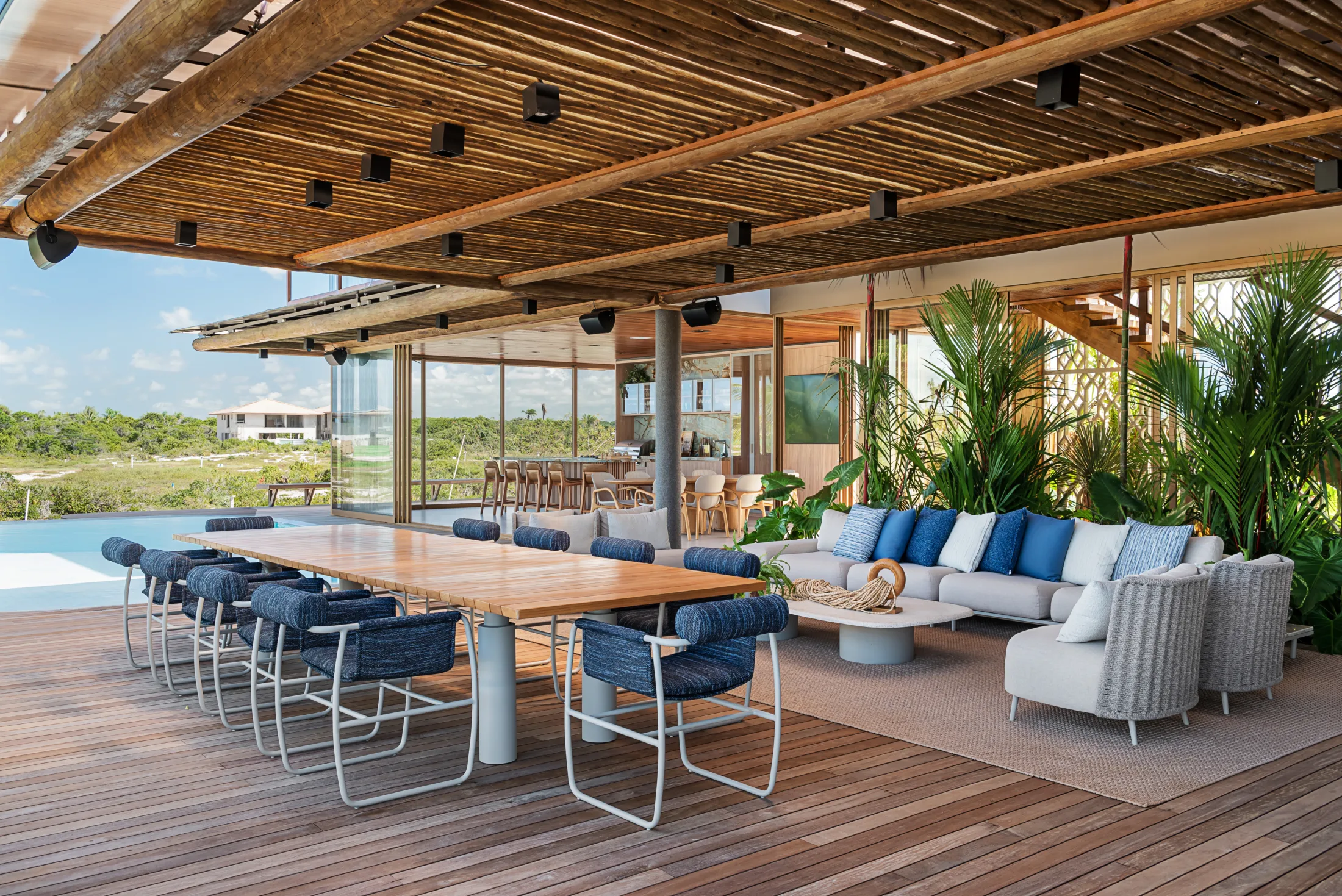 20062024__Milcent_Tartarugas_00091