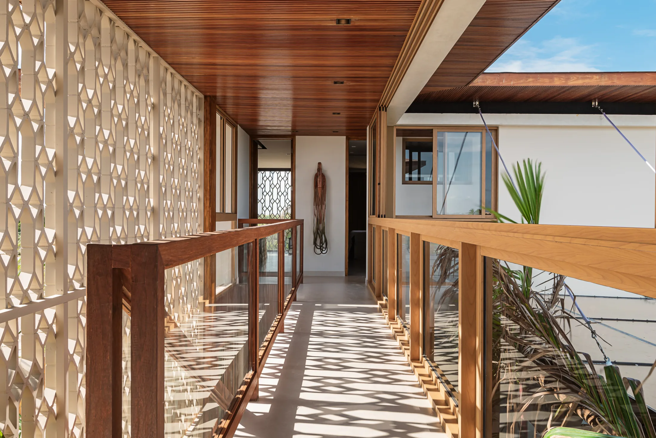 20062024__Milcent_Tartarugas_00270