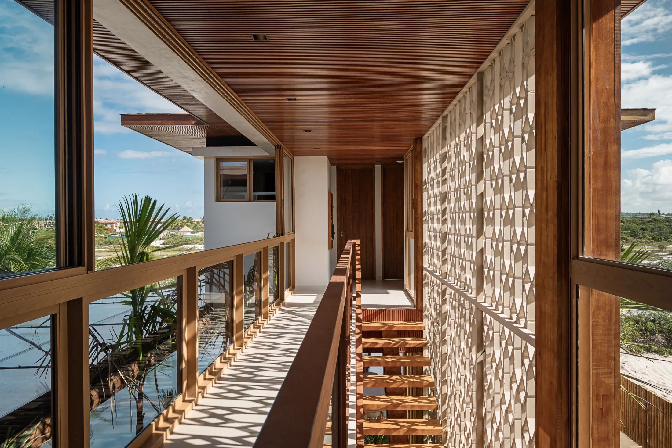 20062024__Milcent_Tartarugas_00275