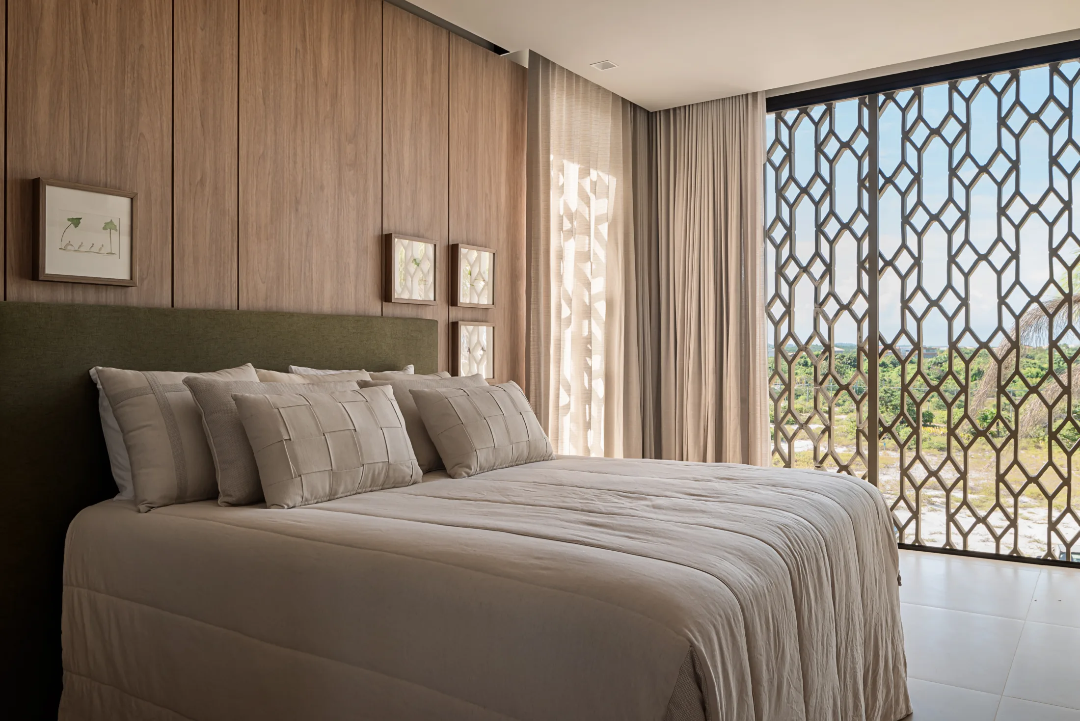 20062024__Milcent_Tartarugas_00318