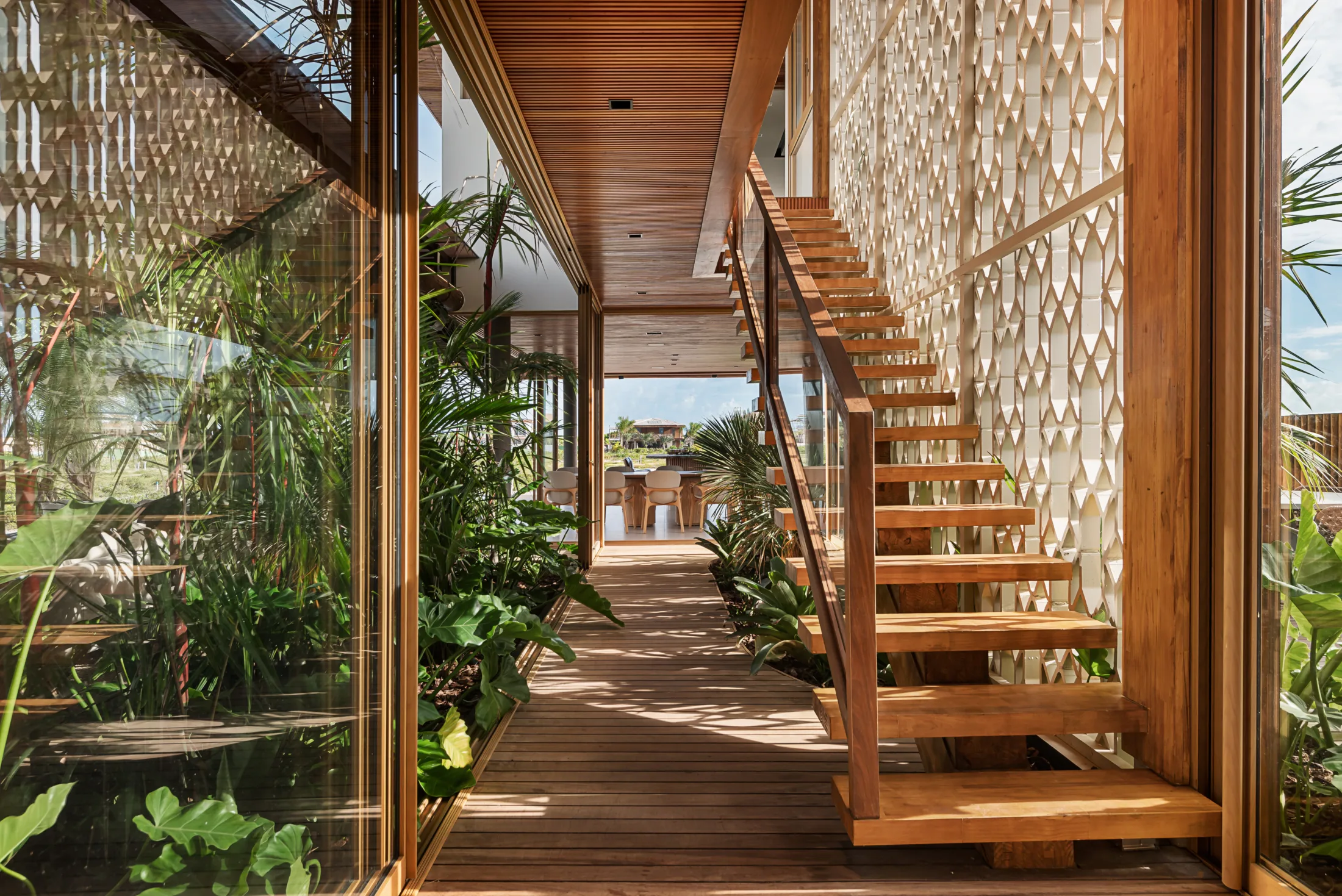 20062024__Milcent_Tartarugas_00385