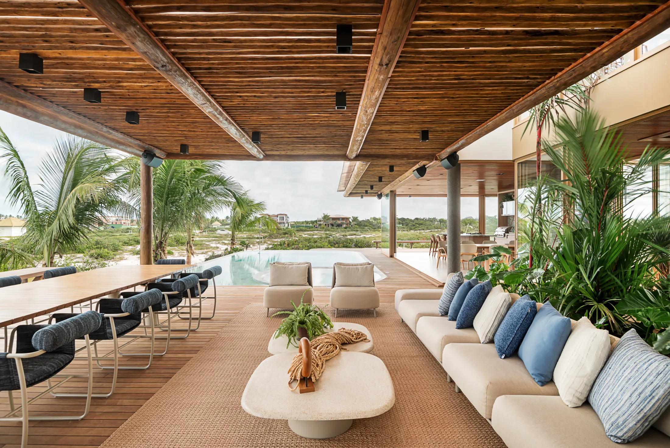 20062024__Milcent_Tartarugas_00451