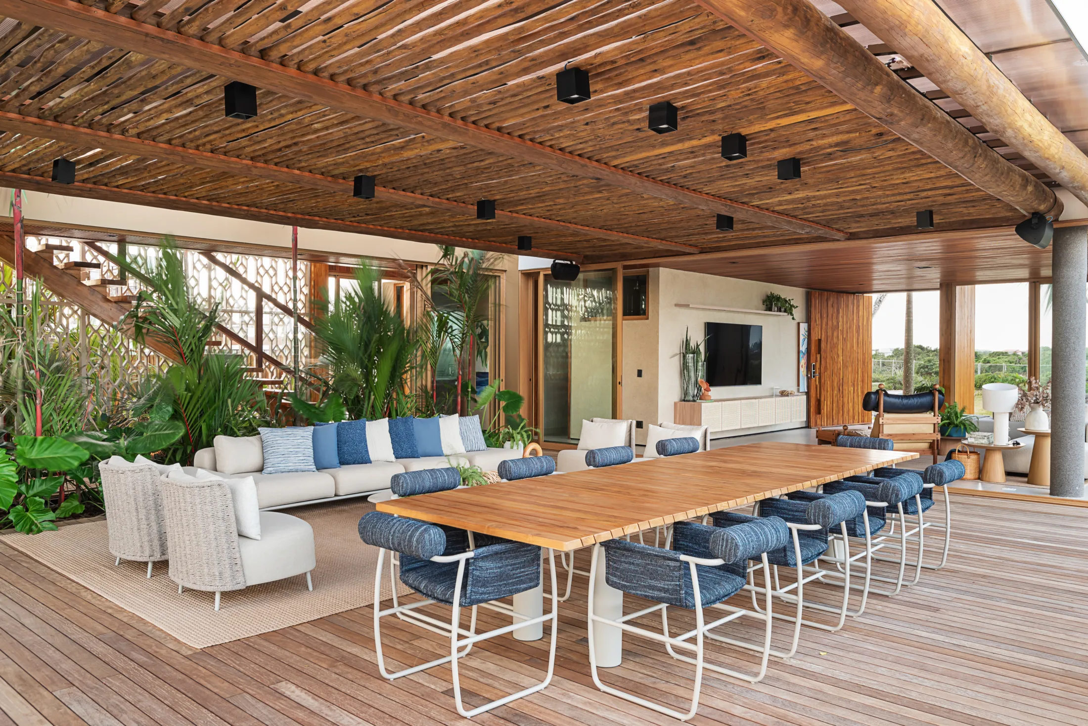 20062024__Milcent_Tartarugas_00521