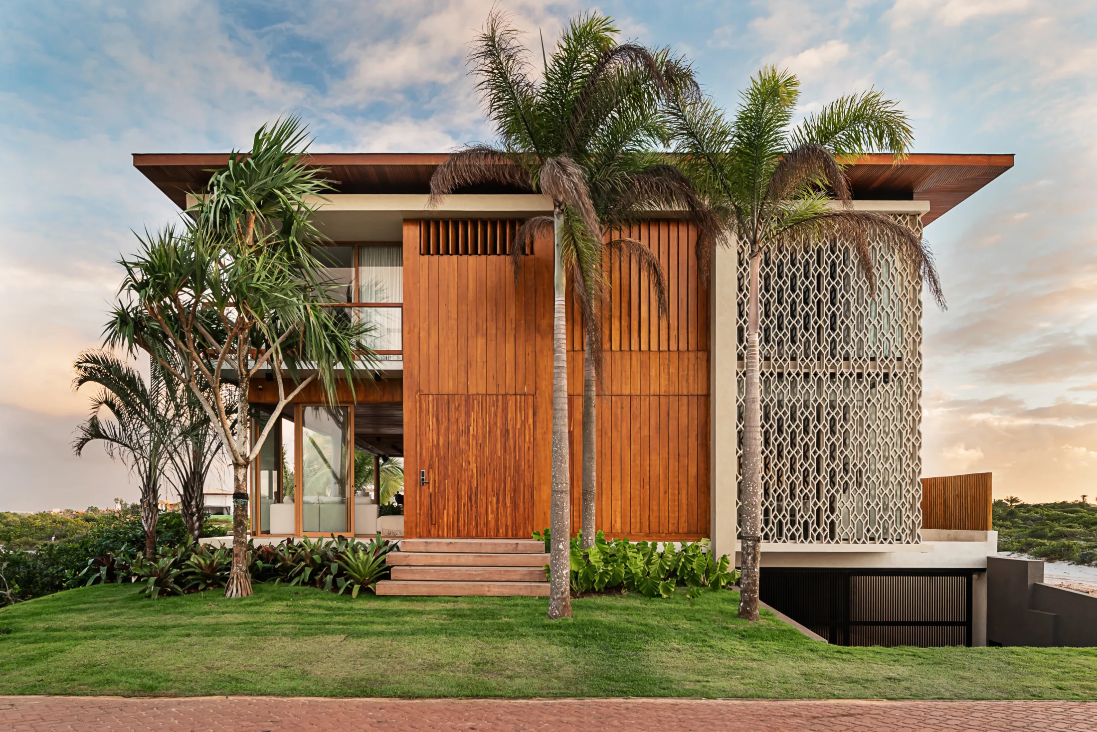 20062024__Milcent_Tartarugas_00568